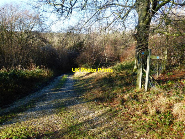 Photo 6"x4" Bridleway signpost on North Down Upwaltham c2013