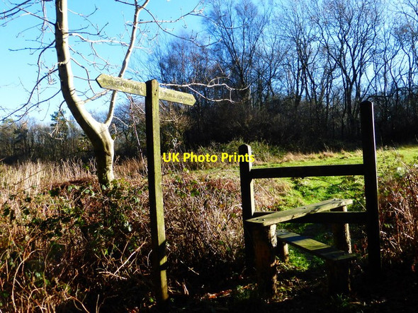 Photo 6"x4" Looking across stile on top of Waltham Down Upwaltham c2013