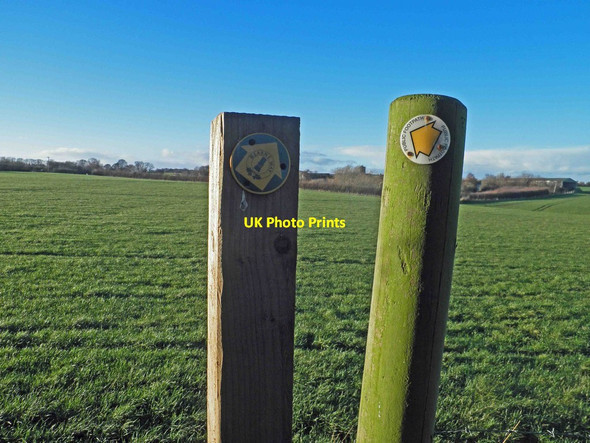 Photo 6"x4" Which way now? Darfield c2013
