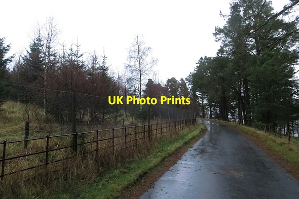 Photo 6"x4" Gladhouse Plantation Tweeddaleburn\/NT2752 c2013