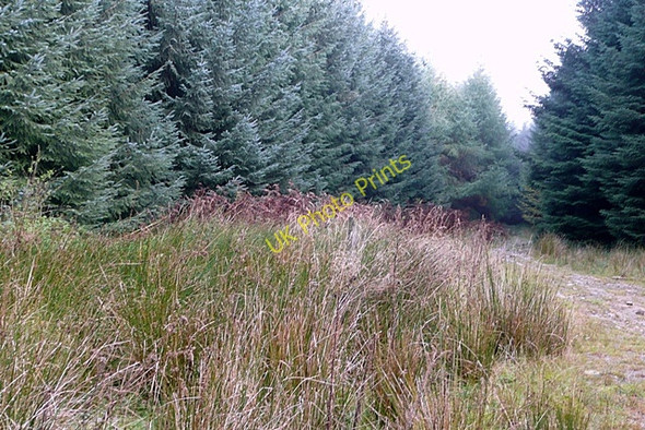 Photo 6"x4" Track to the car park Abercanaid c2008