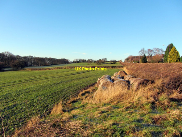 Photo 6"x4" Fields south of Hexham Road, Heddon on the Wall Ryton\/NZ1564 c2013