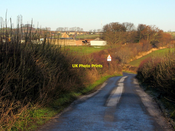 Photo 6"x4" Drove Road towards Black Row Farm Bank Top\/NZ1466 c2013