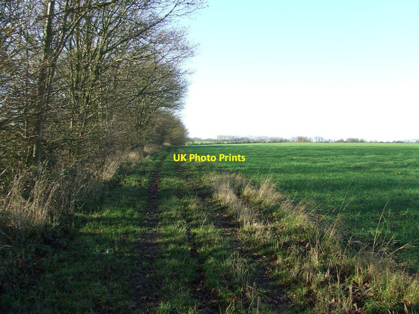 Photo 6"x4" Earl Soham Lane Framlingham c2013