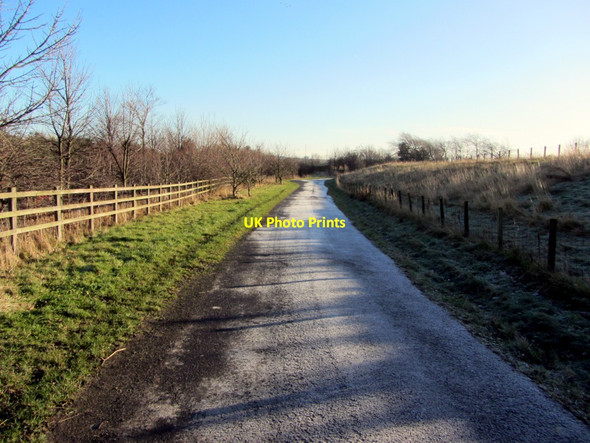 Photo 6"x4" Access road to Throckley North Farm Throckley c2013