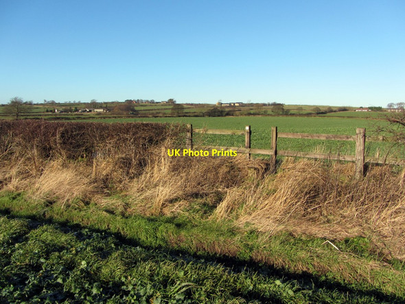 Photo 6"x4" Footpath to Callerton Lane Ends Callerton c2013