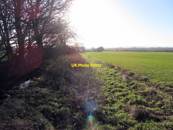 Photo 6"x4" Field boundary south of Callerton Lane End Callerton Lane End c2013
