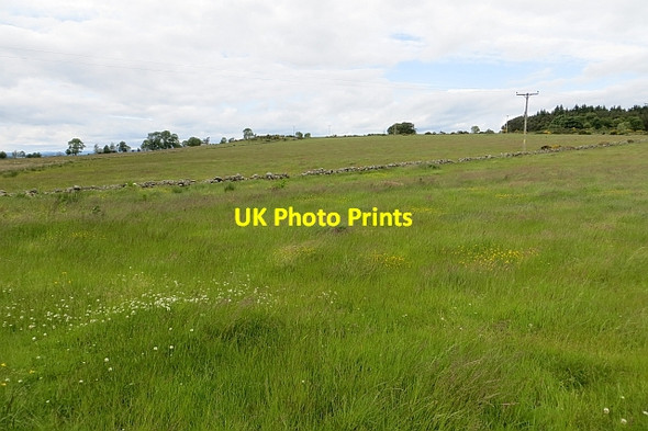 Photo 6"x4" Grass crop near Mains of Altries Kirkton of Maryculter c2013