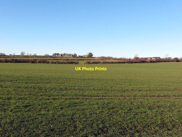 Photo 6"x4" Arable field south of Callerton Lane End Callerton Lane End c2013 P1