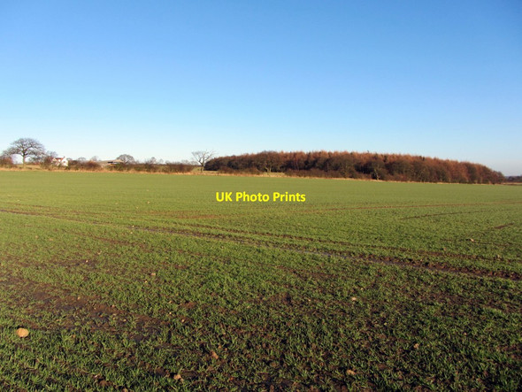 Photo 6"x4" Arable field south of West Woodside Farm Bank Top\/NZ1466 c2013