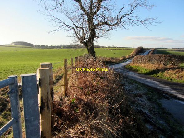 Photo 6"x4" Blackrow Lane Bank Top\/NZ1466 c2013