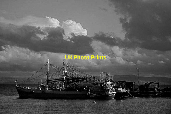 Photo 6"x4" Moville Harbour Moville c2013