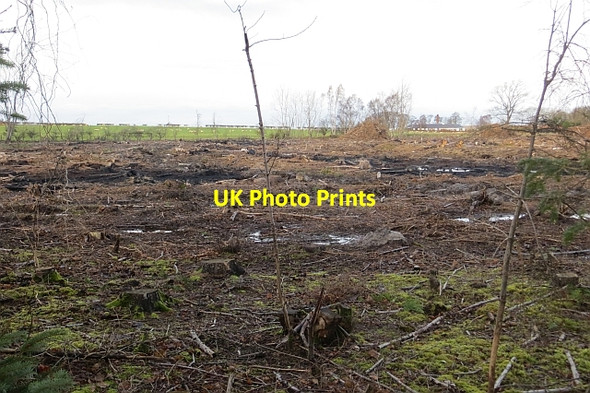 Photo 6"x4" Clear felled area, Huntlaw Pencaitland c2013