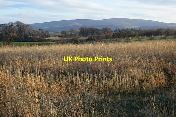 Photo 6"x4" Game crop, Costerton Mains Fala\/NT4361 c2013