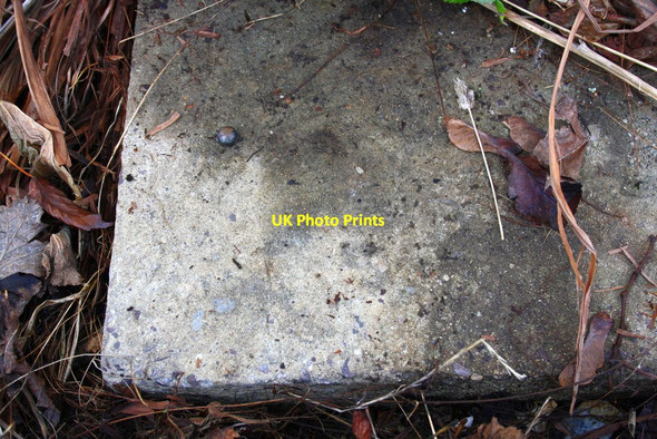 Photo 6"x4" Benchmark on the doorstep of #21 Harcourt Green Wantage c2013