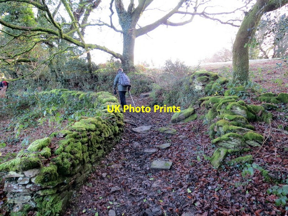 Photo 6"x4" Hen Heol Gelli Nudd Old Road Gellinud c2013