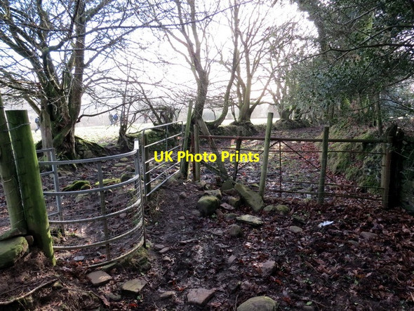 Photo 6"x4" Llwybr Cefn Celfi Footpath Cilybebyll c2013