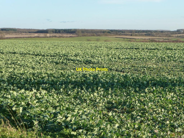 Photo 6"x4" Large arable field, south of Colsterworth Road Colsterworth c2013