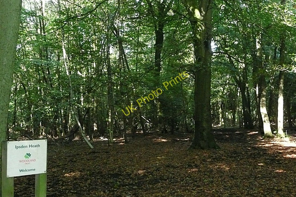 Photo 6"x4" Ipsden Heath Well Place c2008