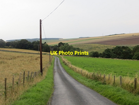 Photo 6"x4" Howpark Road Grantshouse c2013