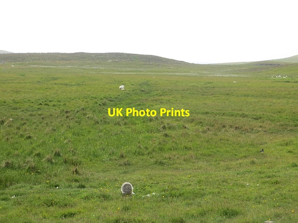 Photo 6"x4" Wetland pasture, Mid Walls Mid Walls c2013