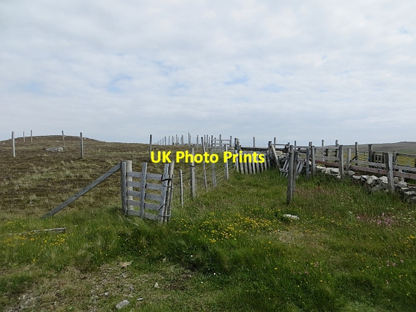 Photo 6"x4" Sheep pens, Cumli Field Mid Walls c2013