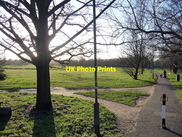 Photo 6"x4" Tooting Bec Common (5) Streatham c2013