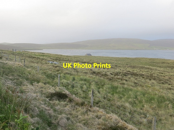 Photo 6"x4" Rough grazing, Semblister Semblister c2013