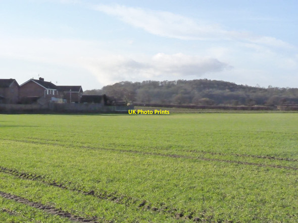 Photo 6"x4" View towards Brayton Barff Selby c2013