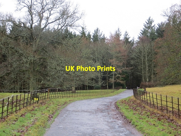Photo 6"x4" Castle Park, Cavers Cauldmill c2013