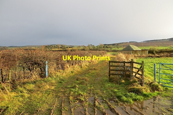 Photo 6"x4" Farm road, Teviothaugh Denholm\/NT5618 c2013