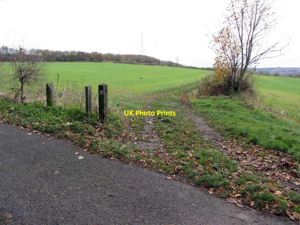 Photo 6"x4" Paths near Walbottle Hall Ryton\/NZ1564 c2013
