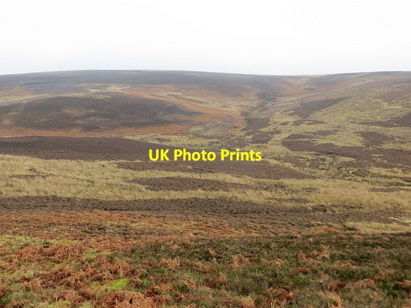 Photo 6"x4" Moorland, Head of the Whiteadder Water Hazelly Burn\/NT6266 c2014