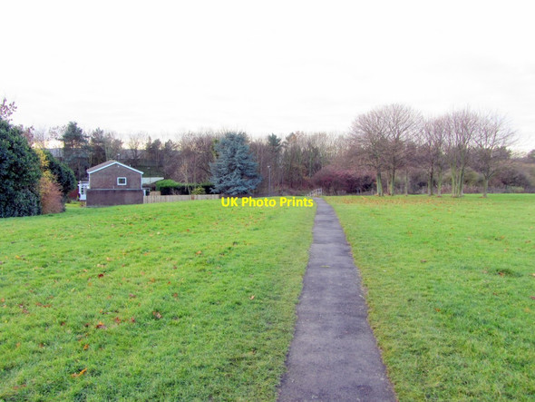 Photo 6"x4" Path north of A69 Ryton\/NZ1564 c2013