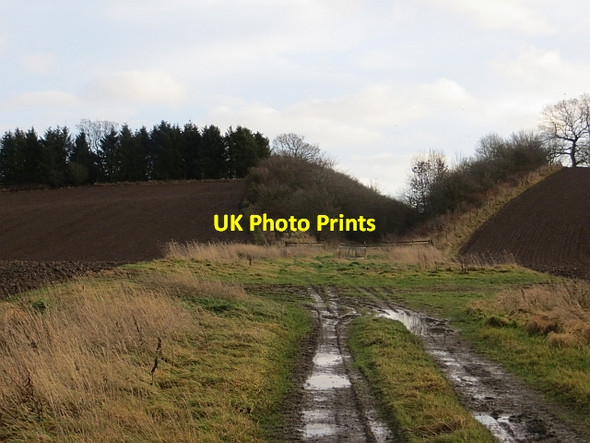 Photo 6"x4" Cutting, Waverley Line Charlesfield\/NT5829 c2013