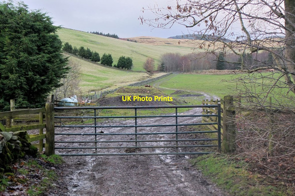 Photo 6"x4" Track above Mailingsland Mailingsland c2014