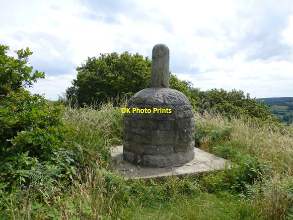 Photo 6"x4" Parbold Bottle High Moor\/SD5011 c2013