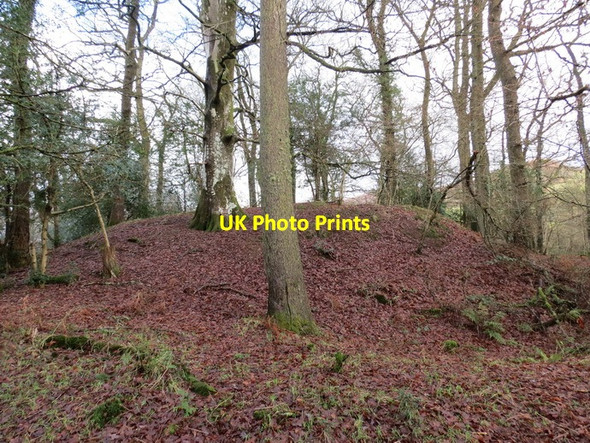 Photo 6"x4" Castell Talyllychau \/ Talley Mound Talley c2014