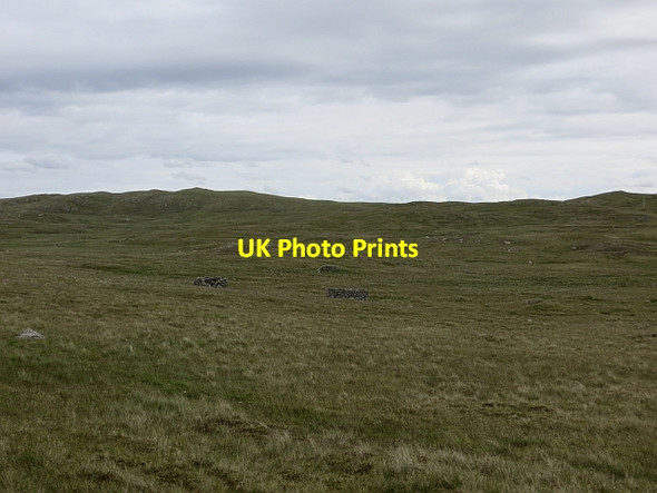 Photo 6"x4" Grassland, Summerside Brunatwatt c2013