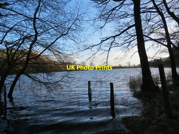 Photo 6"x4" Llyn Uchaf Talyllychau \/ Talley Upper Lake Talley c2014