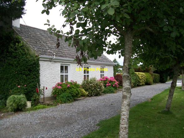 Photo 6"x4" Towpath cottage on the north side of the Grand Canal Belmont\/N0722 c2013