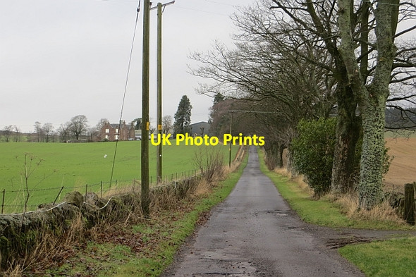 Photo 6"x4" Road to Banatty Burnside\/NO1608 c2014