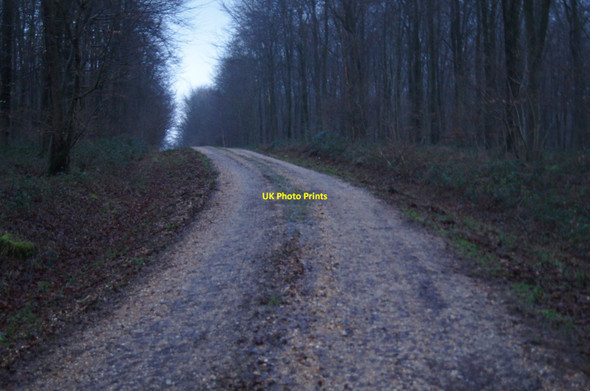 Photo 6"x4" Access track to Itchen Wood Micheldever c2014