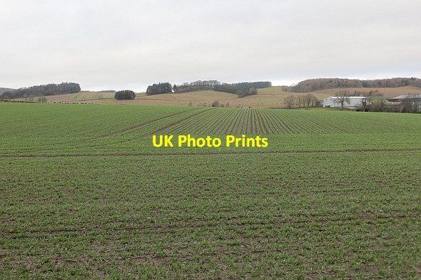 Photo 6"x4" Winter cereals, Gateside Gateside\/NO1809 c2014