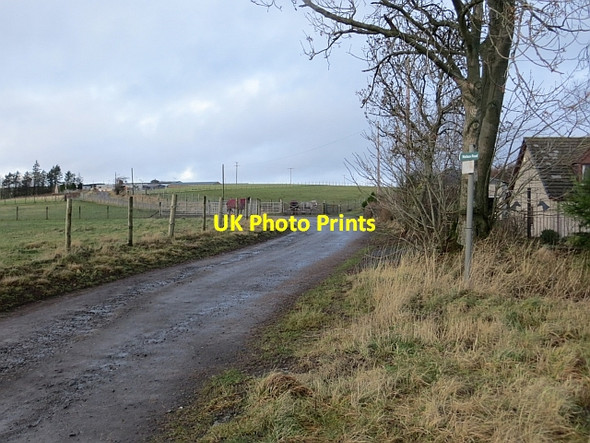 Photo 6"x4" Wallace Road Fordel\/NO1312 c2014
