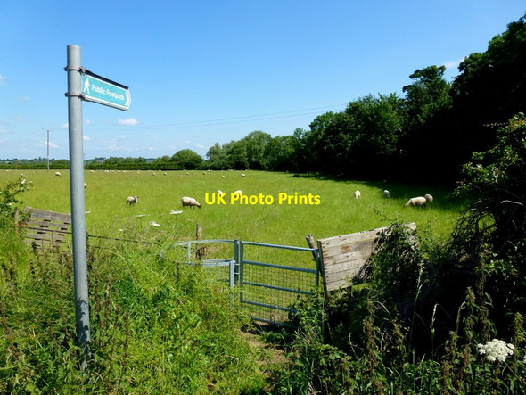 Photo 6"x4" Footpath from Bricklehampton Bricklehampton c2013
