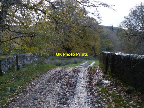 Photo 6"x4" Bridge in the grounds of Strachur House Clachan\/NN0901 c2013