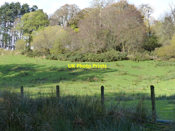 Photo 6"x4" Field behind Creggans Clachan\/NN0901 c2013