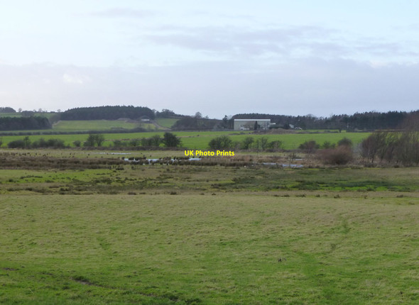 Photo 6"x4" Marshy land beside the Eshott Burn Eshott c2014