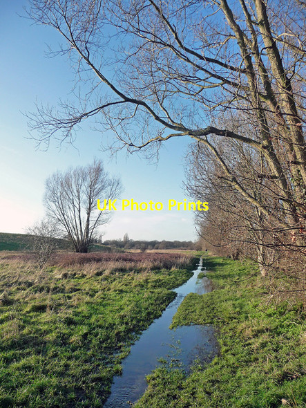 Photo 6"x4" Waterlogged path, Mitcham Common Mitcham c2014